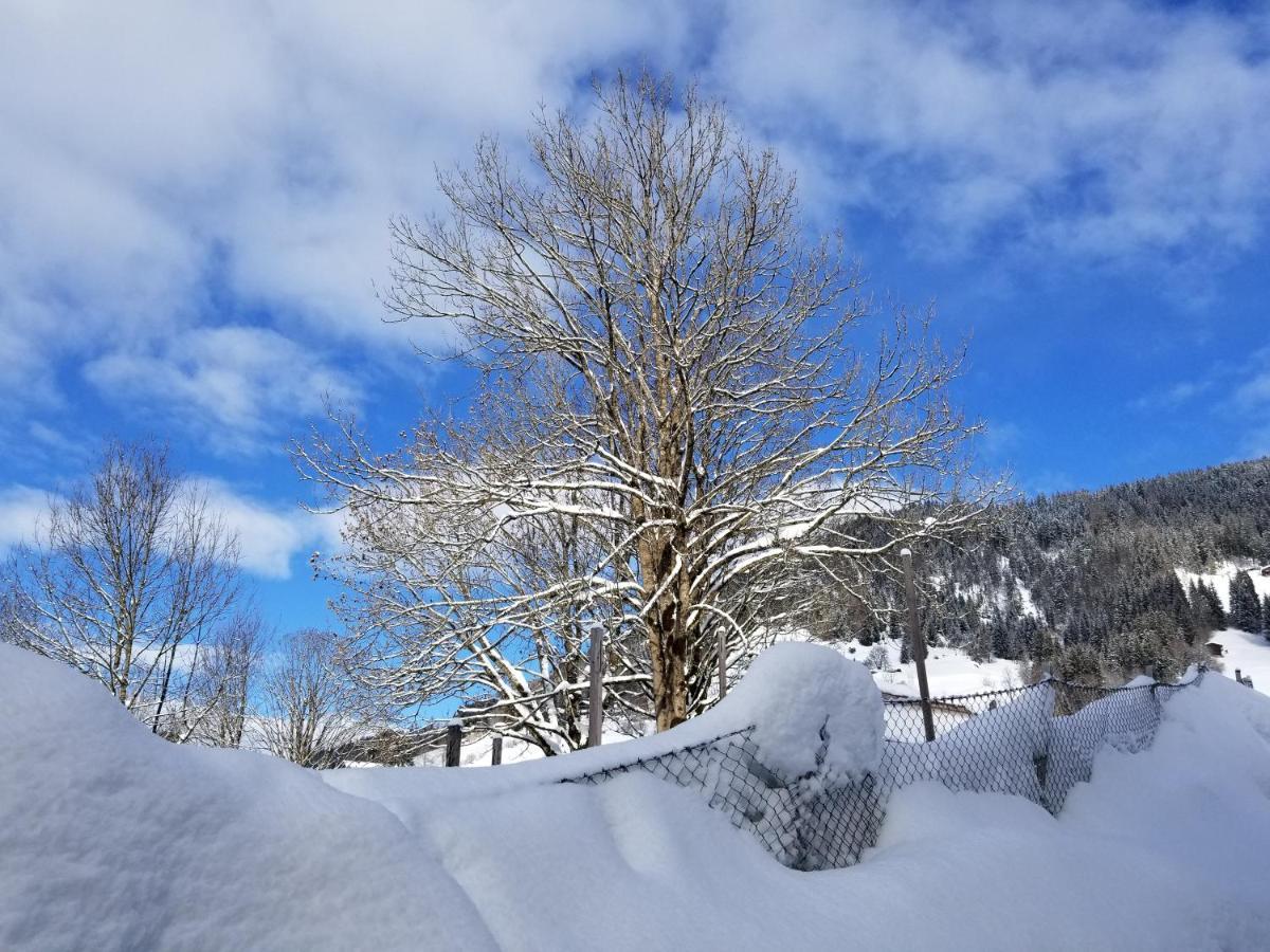 Alpenhotel Wildschoenau B&B Экстерьер фото